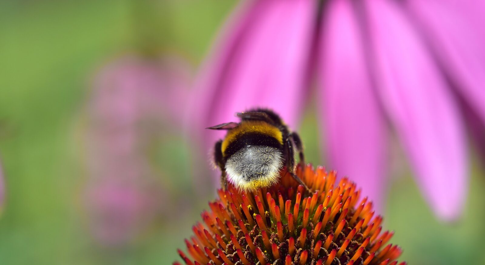 10 dummaste misstagen som klyftiga människor gör.